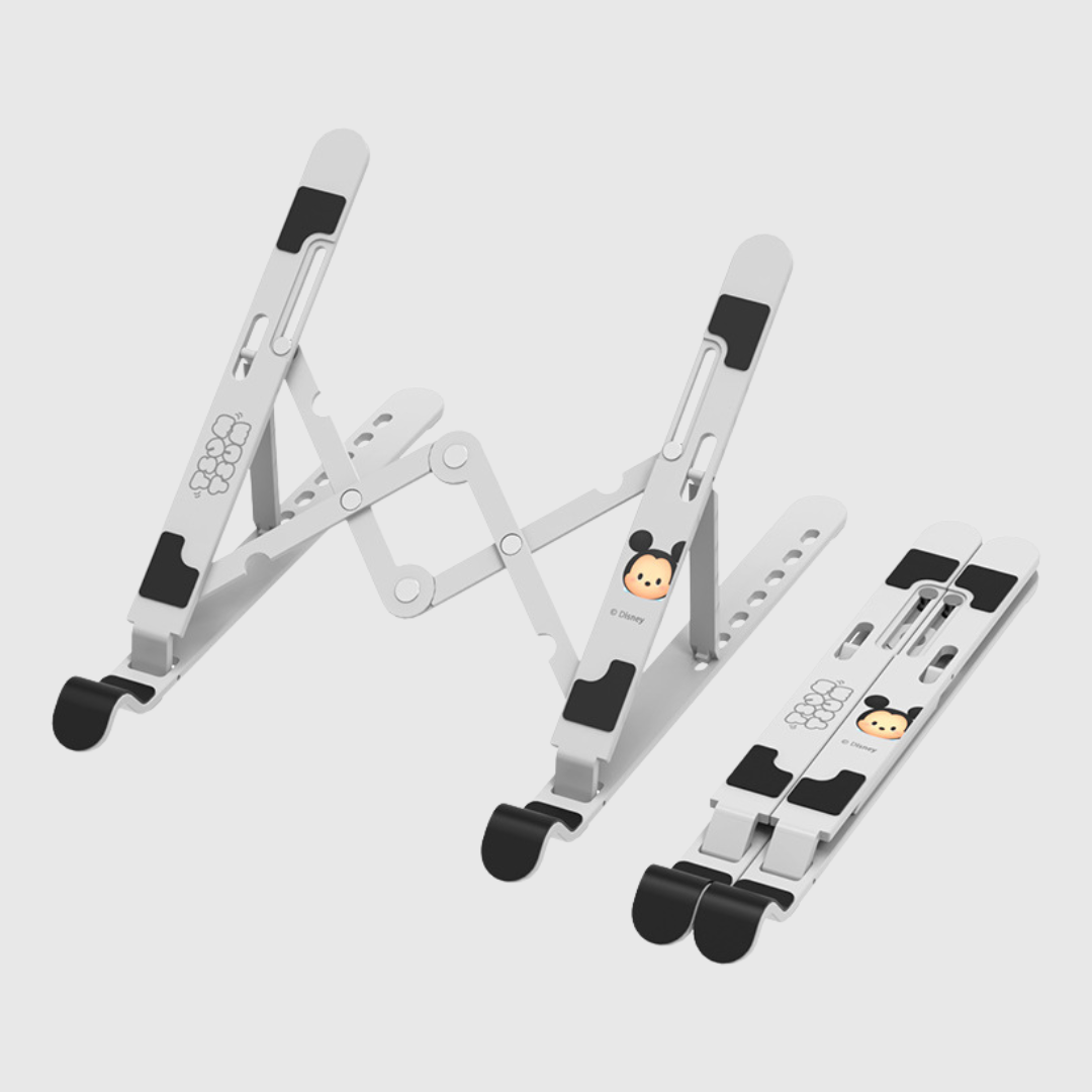 Multi-functional Portable Computer Stand