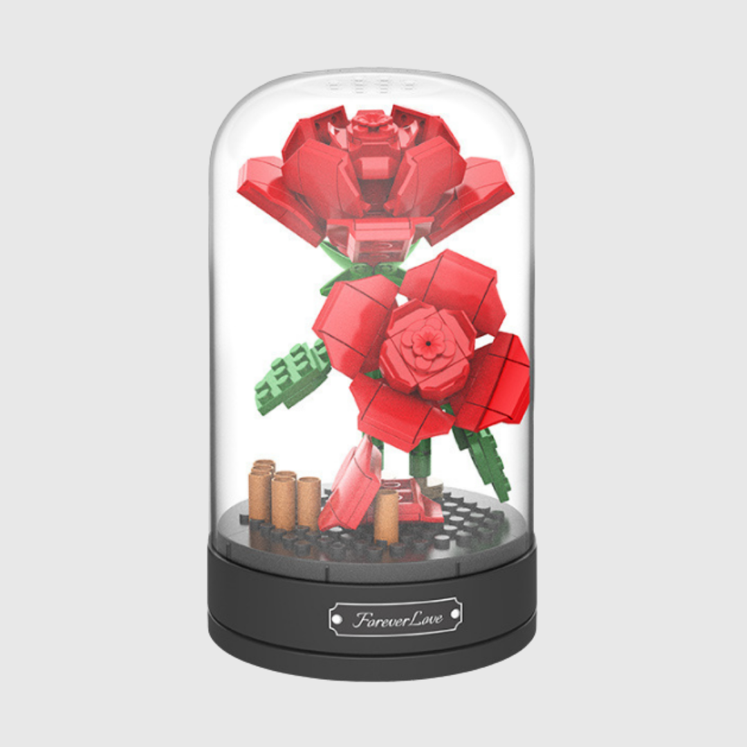 Building Blocks Plante DIY