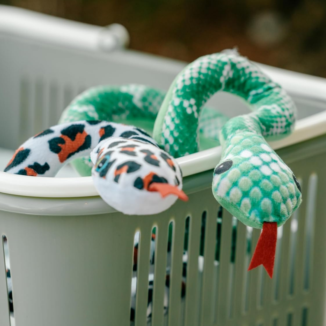 Snake Plush Toys