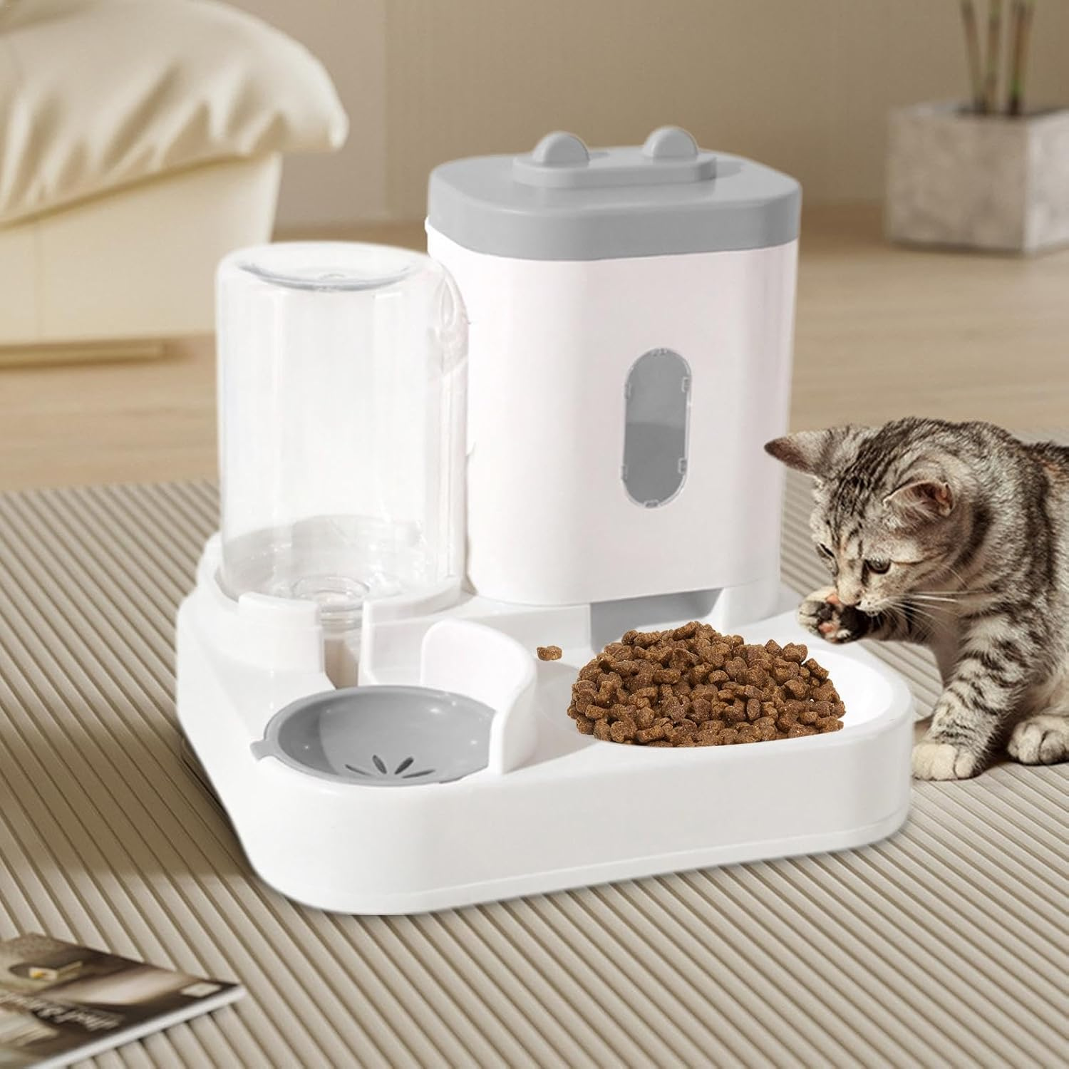 Automatic Feeder