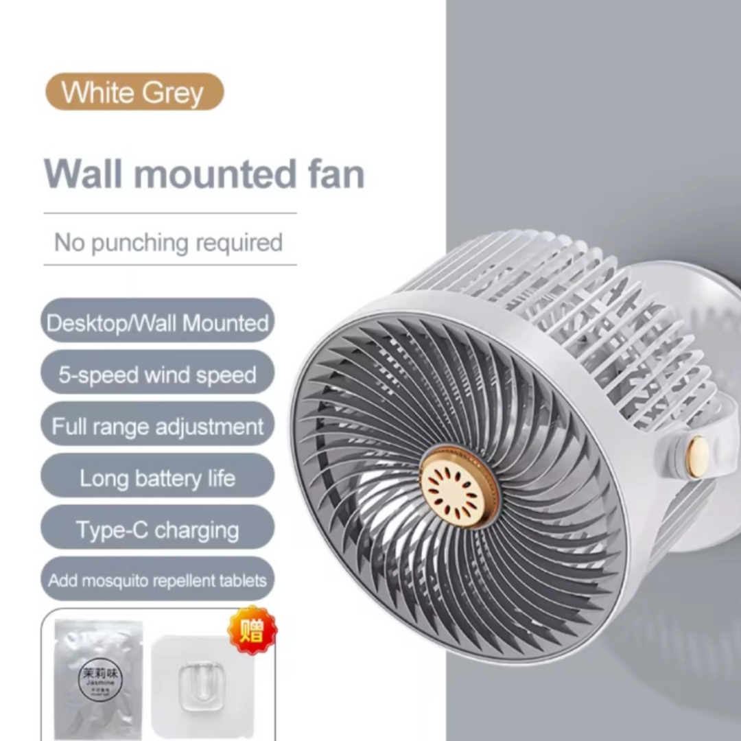 Wall Mounted Fan