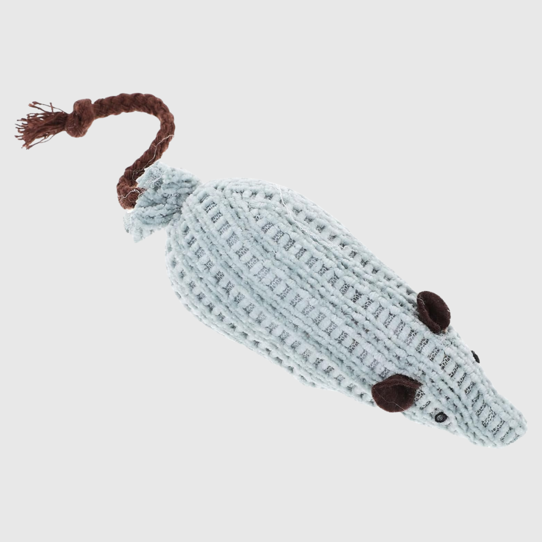 Cat Toys