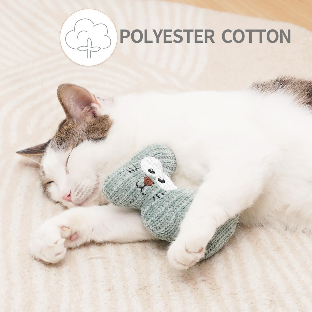 Cat Toys