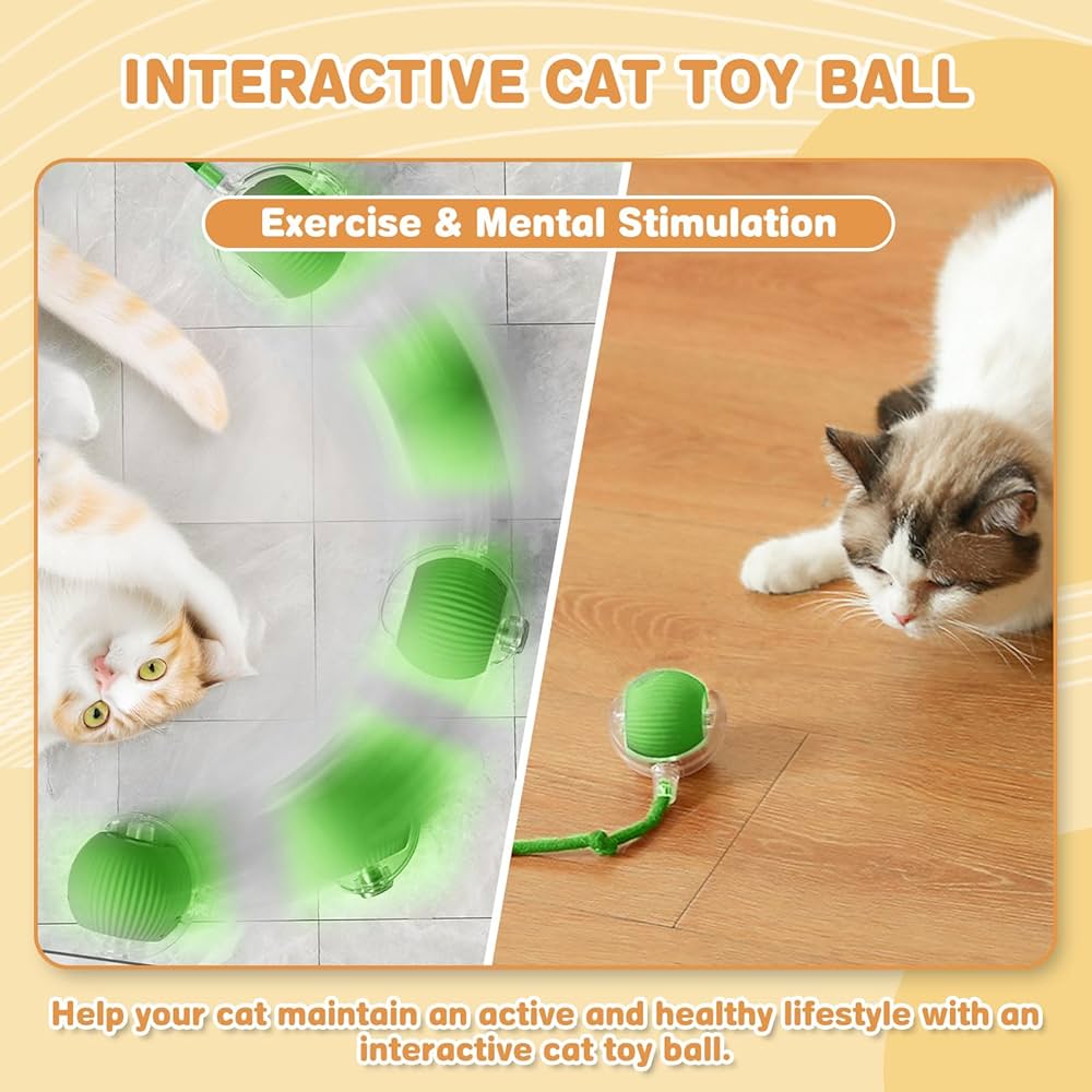 Cat Toy Ball