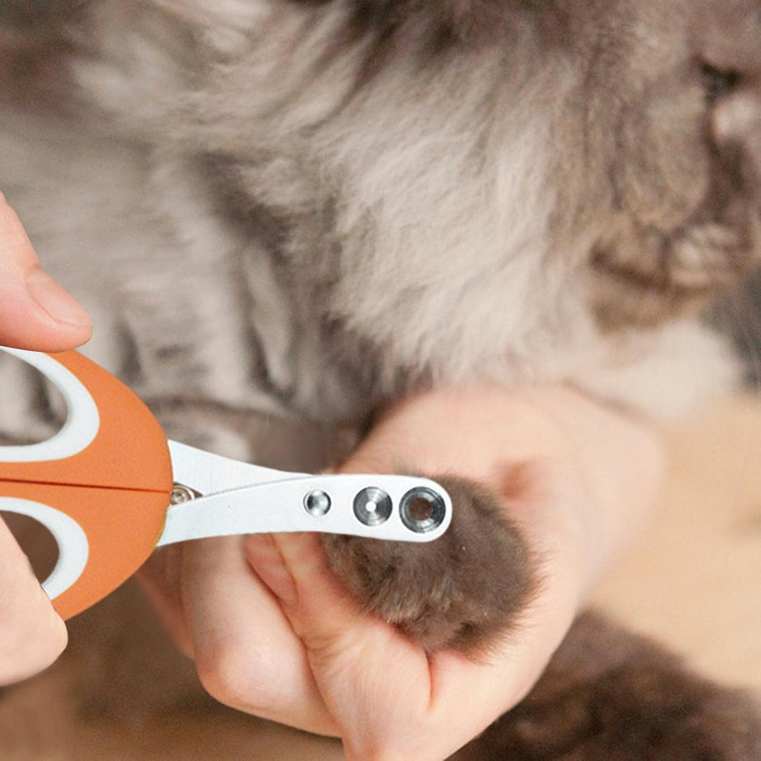 Pet Nail Clippers