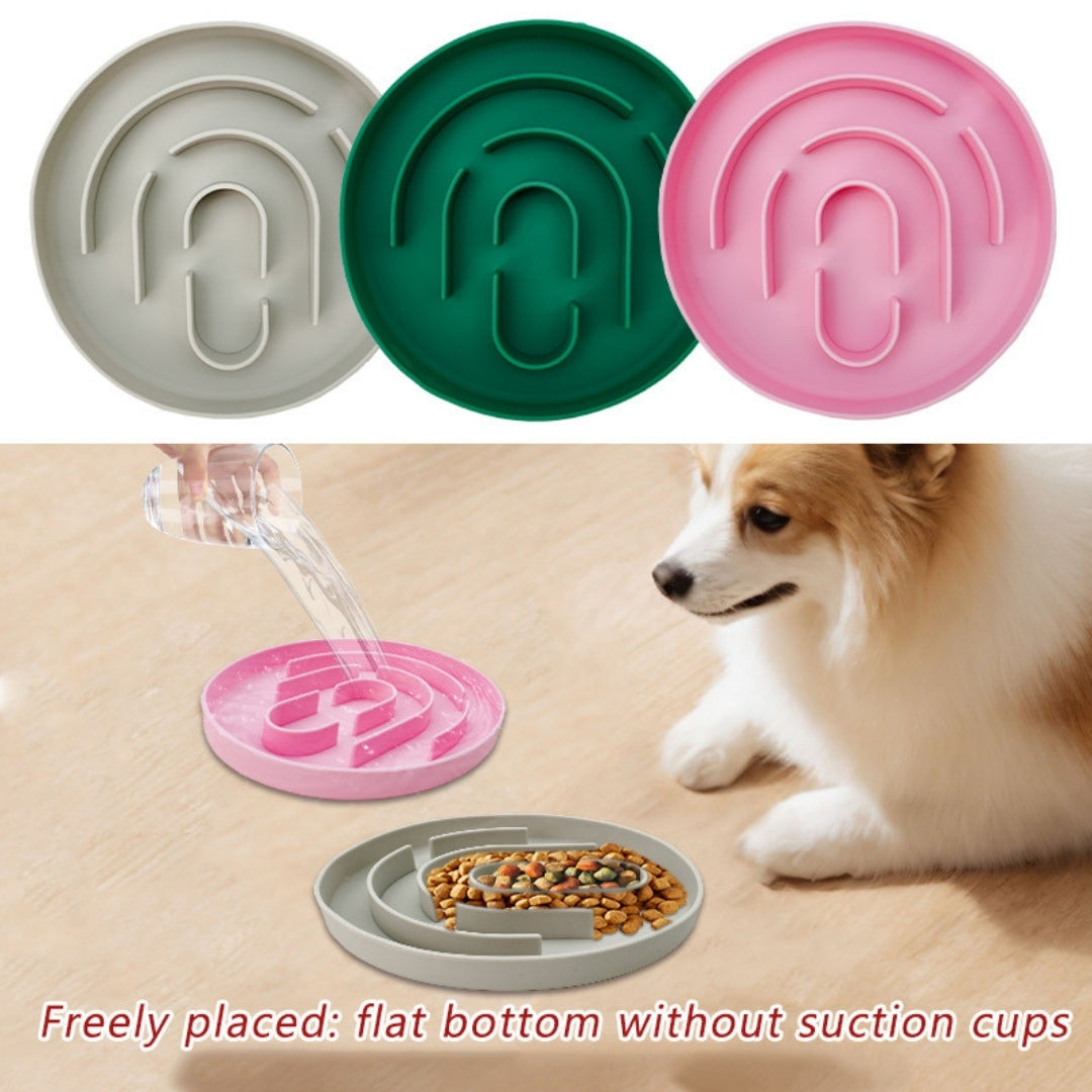 Slow Food Pet Bowl