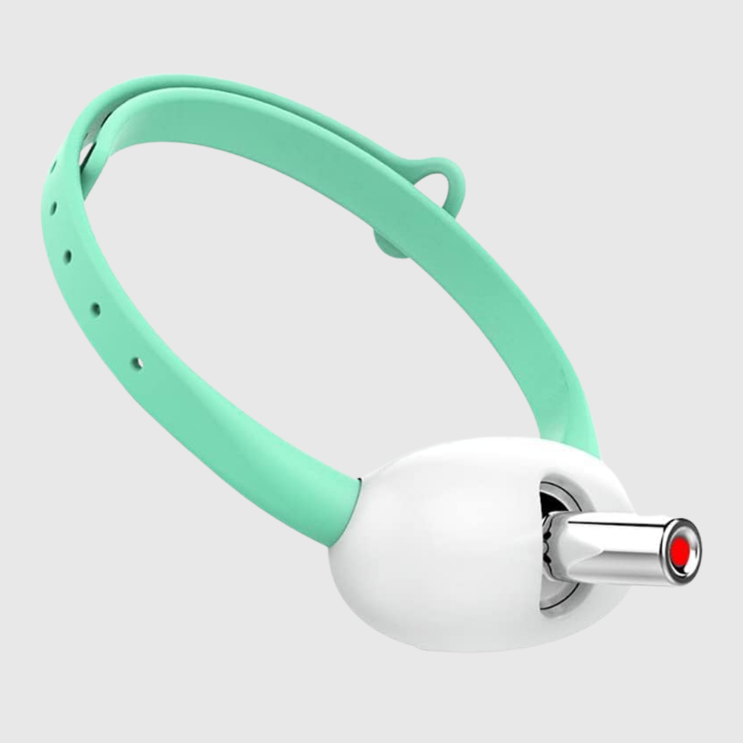 Pet Collar Laser