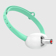 Pet Collar Laser