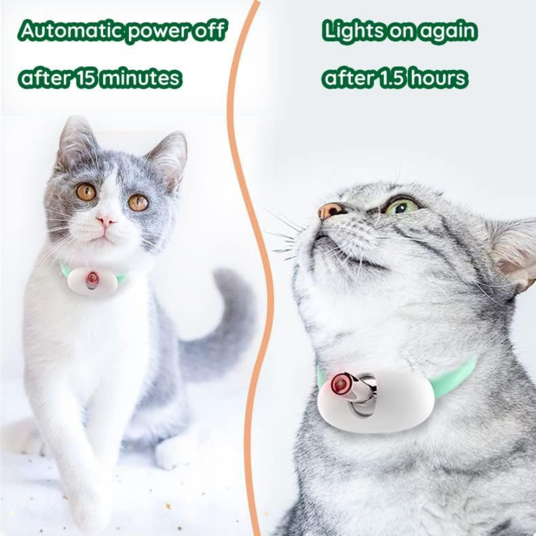 Pet Collar Laser