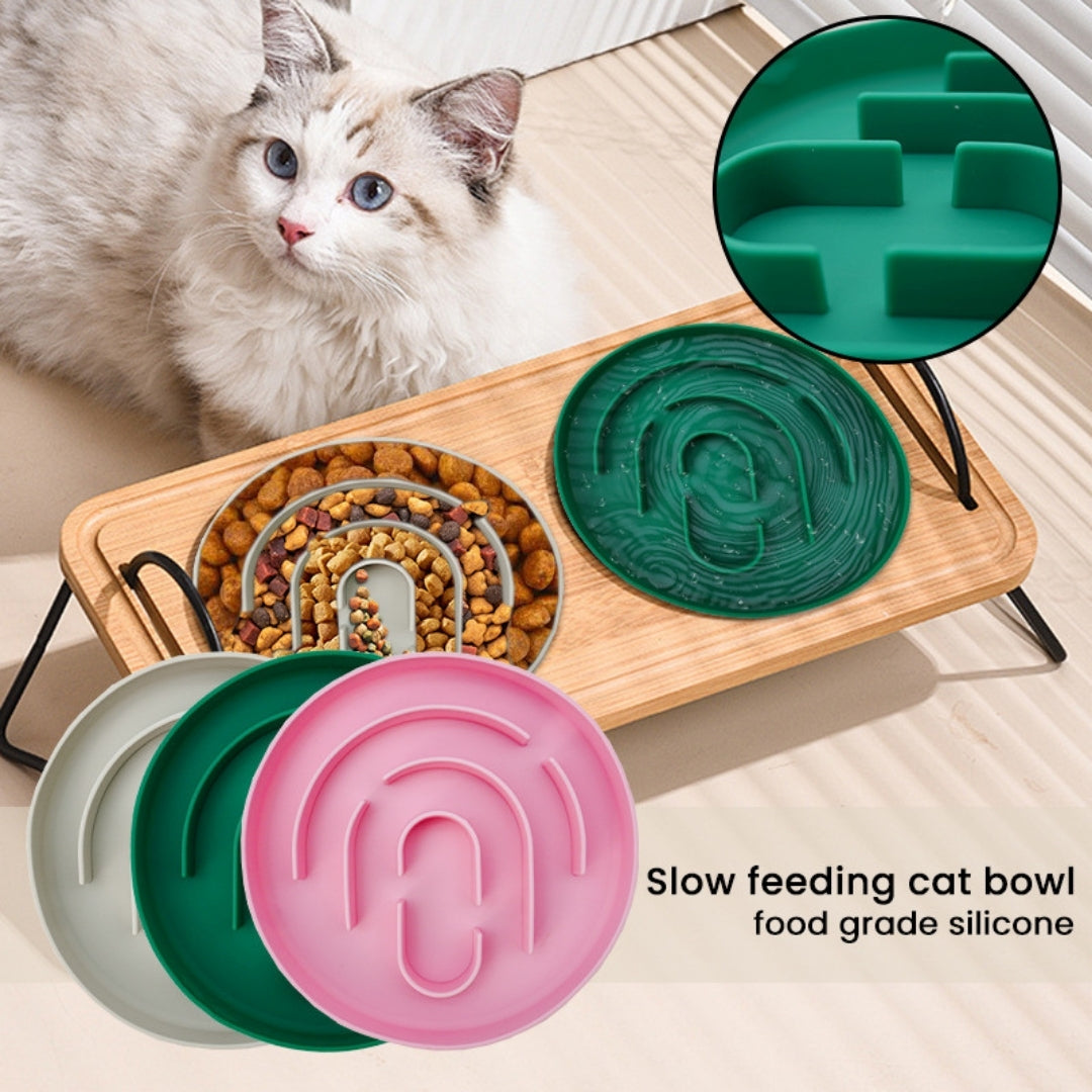 Slow Food Pet Bowl