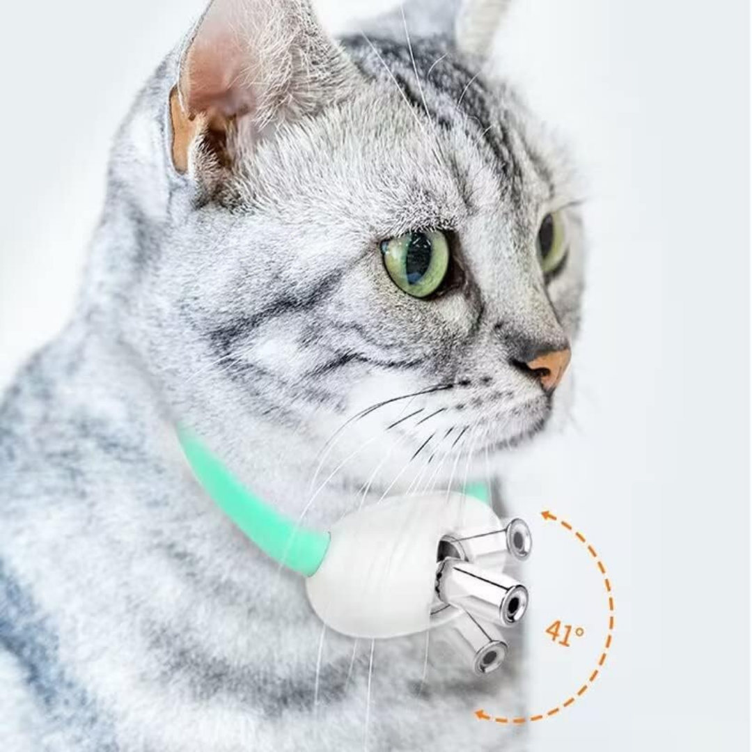 Pet Collar Laser