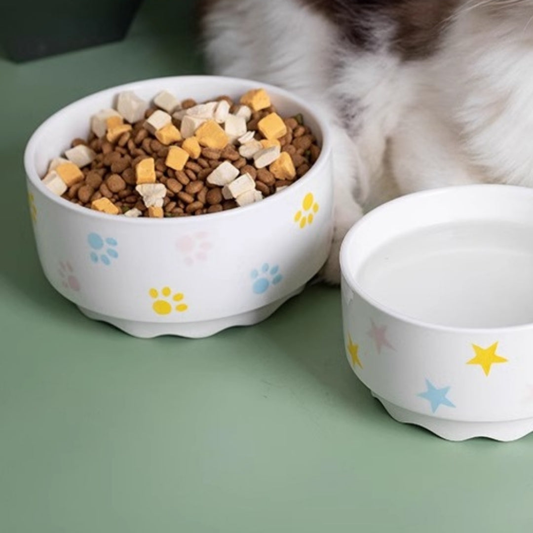 JACK-009 Pet Bowl