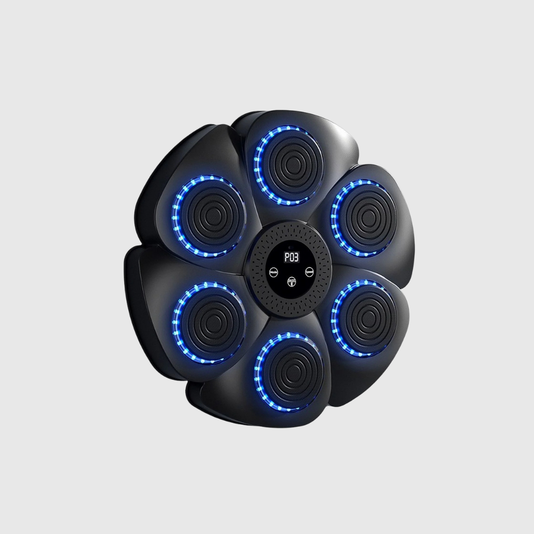 Musical Boxing Target