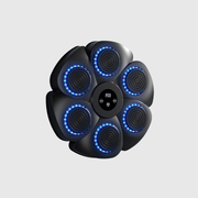 Musical Boxing Target