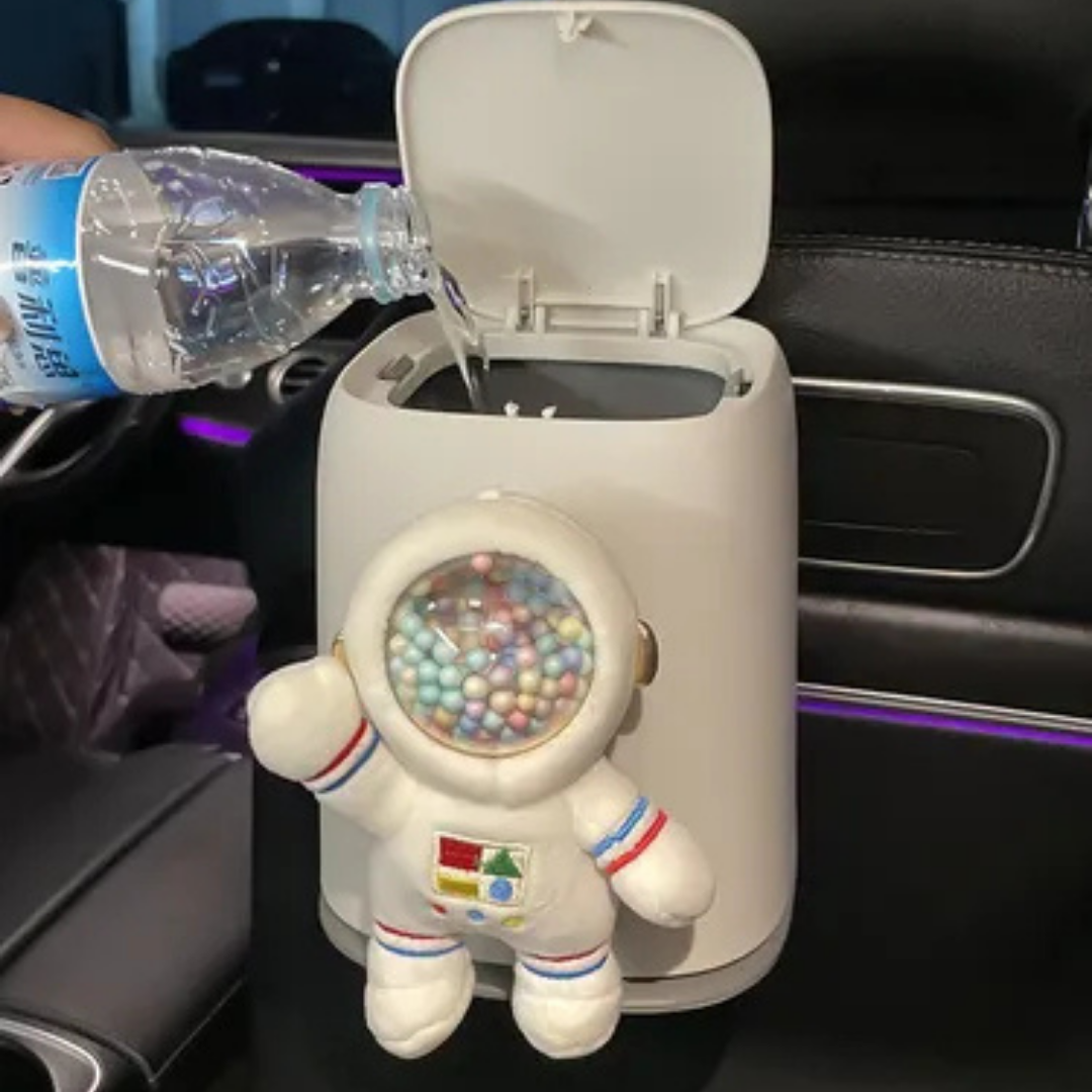 Car Trash can