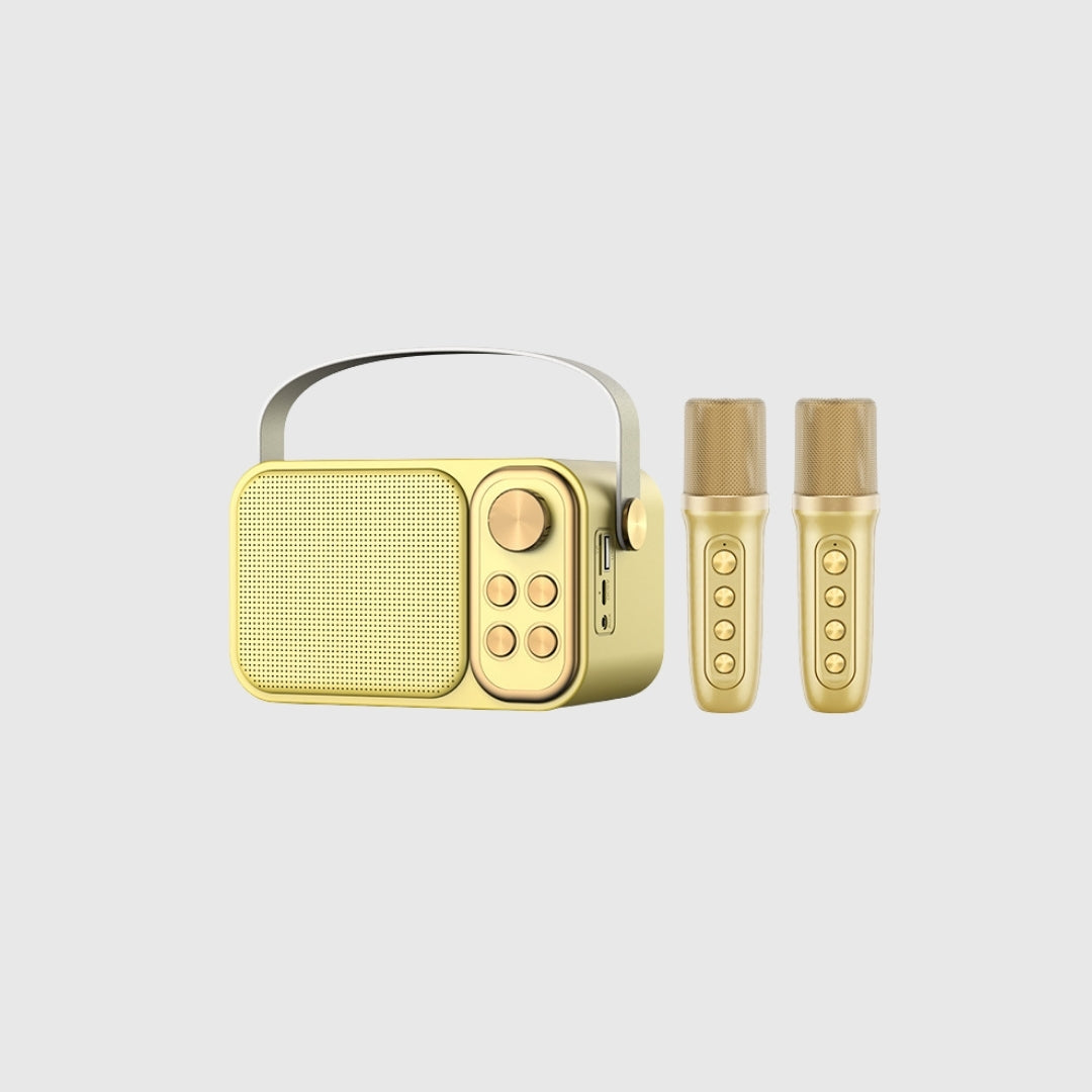 Hot Selling Karaoke Set