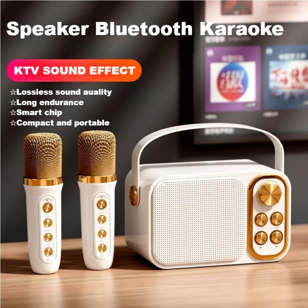 Hot Selling Karaoke Set