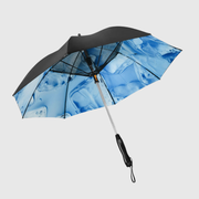 Electric Fan Spray Umbrella