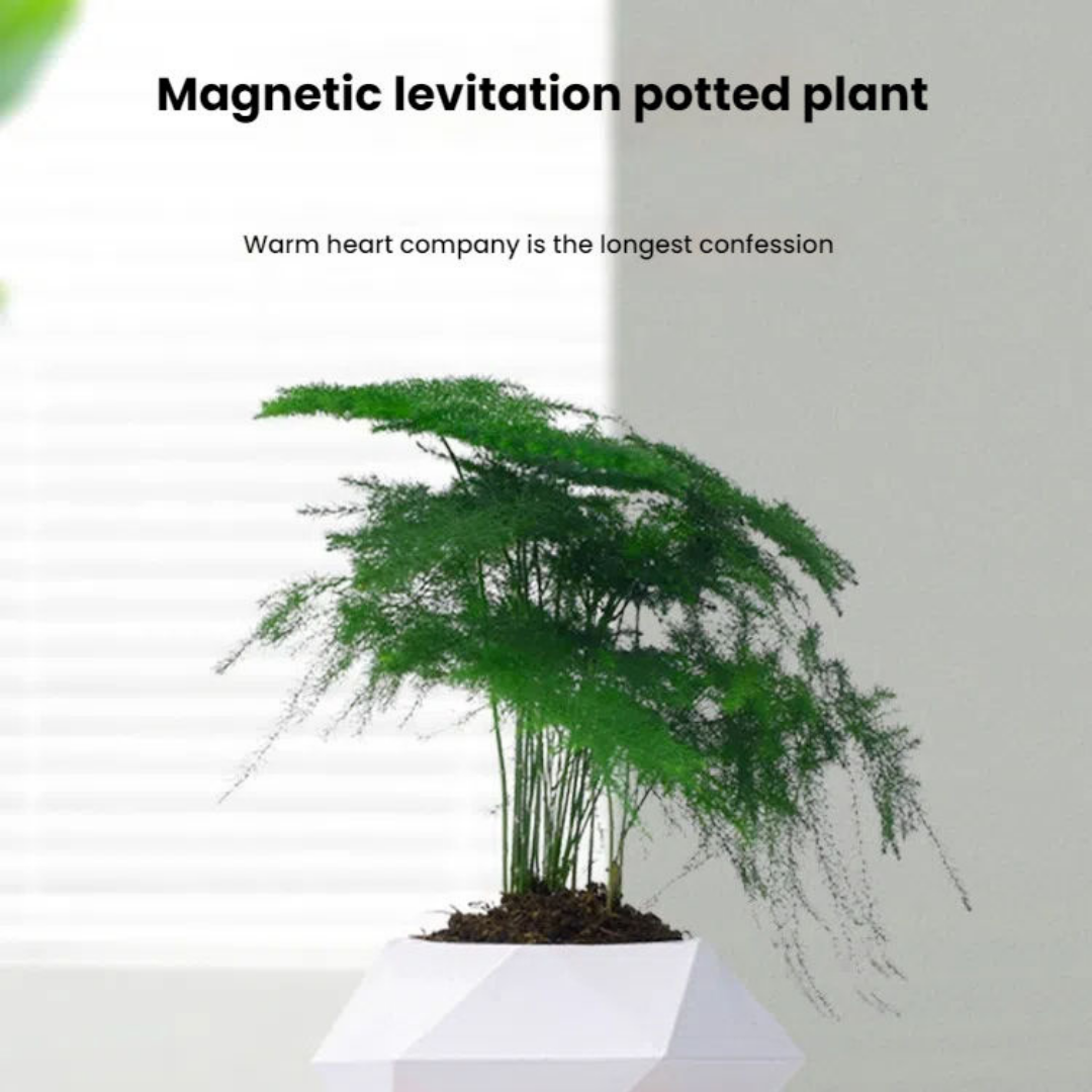 Magnetic Levitation Air Plant Holder