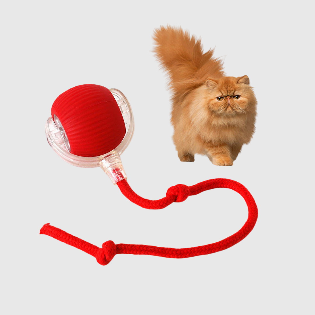 Cat Toy Ball