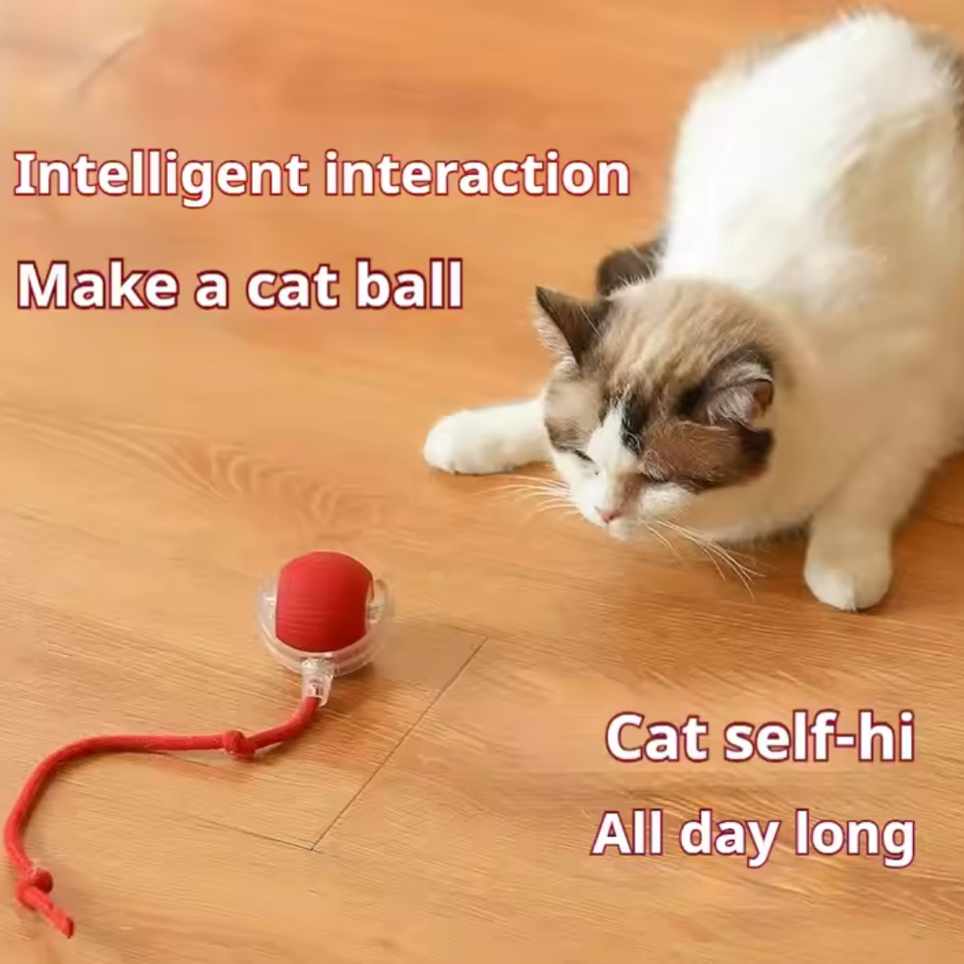 Cat Toy Ball