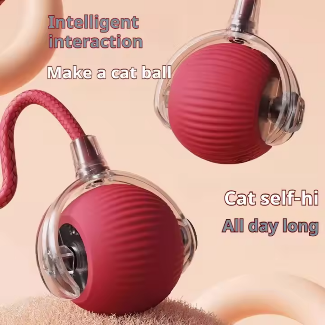 Cat Toy Ball