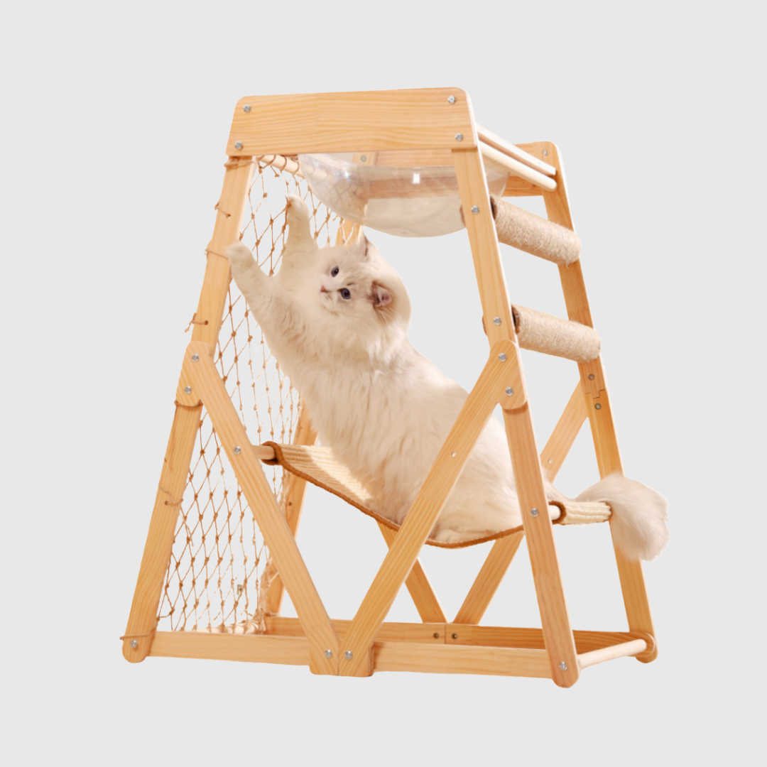 Climbing Cat Net Round Space Pod Design - 84.35