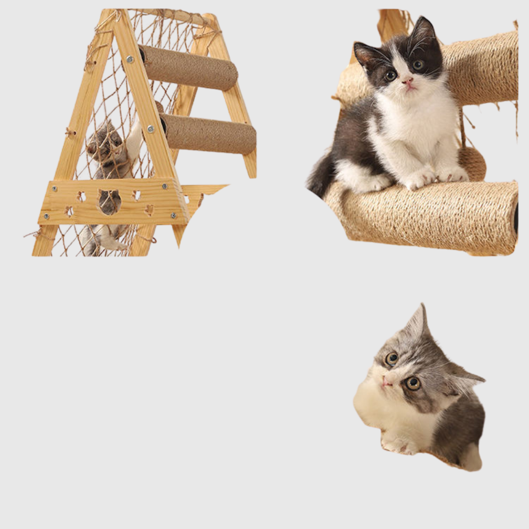 Climbing Cat Net Round Space Pod Design - 84.35