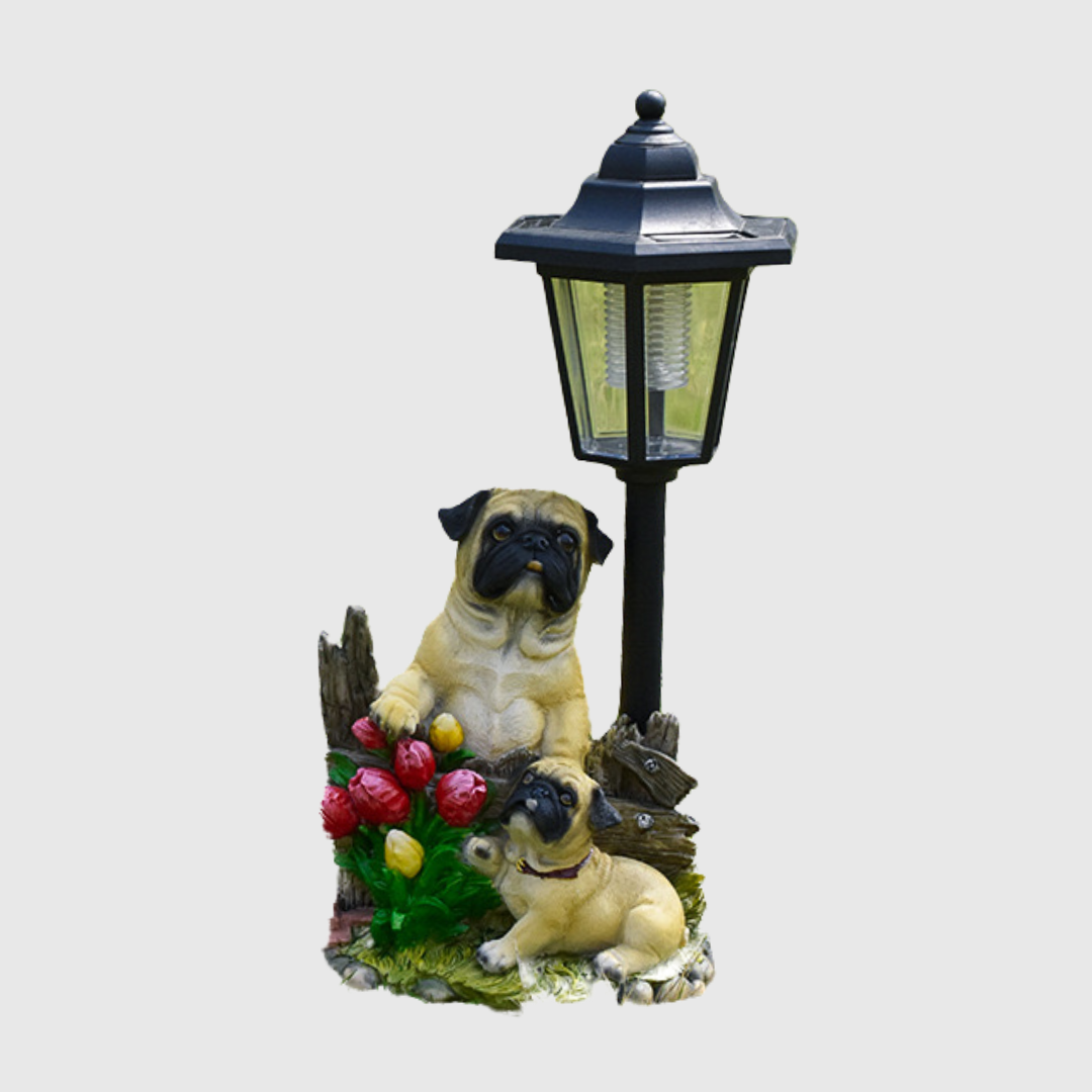 Garden Solar Powered Light