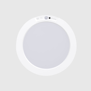 Motion-Sensor Ceiling Light