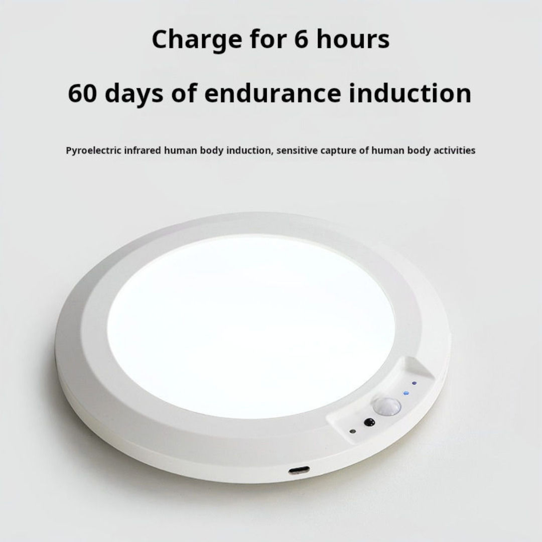 Motion-Sensor Ceiling Light