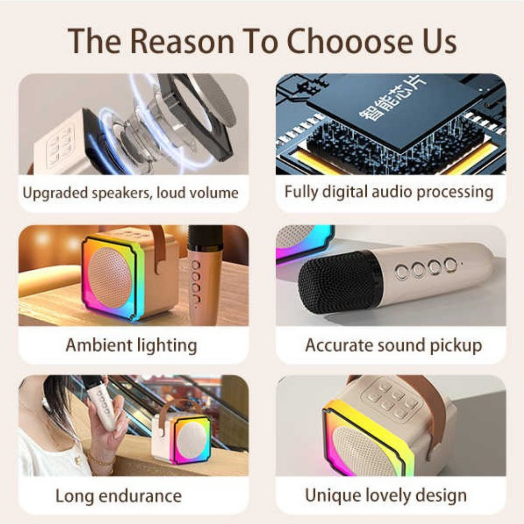 Rechargeable Wireless Karaoke Set