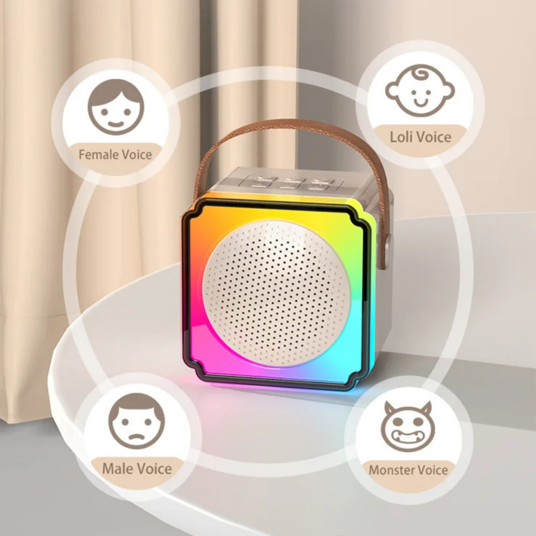 Rechargeable Wireless Karaoke Set
