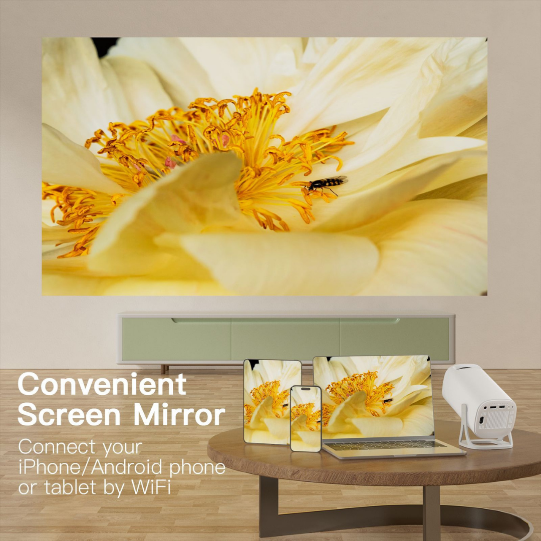 S40 Projector