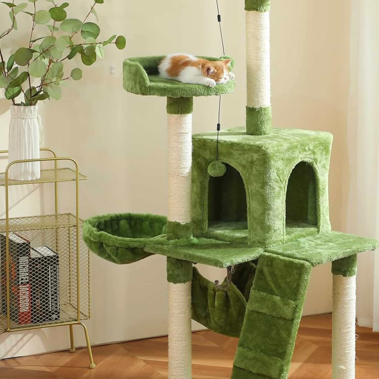 Cat Climbing Tower