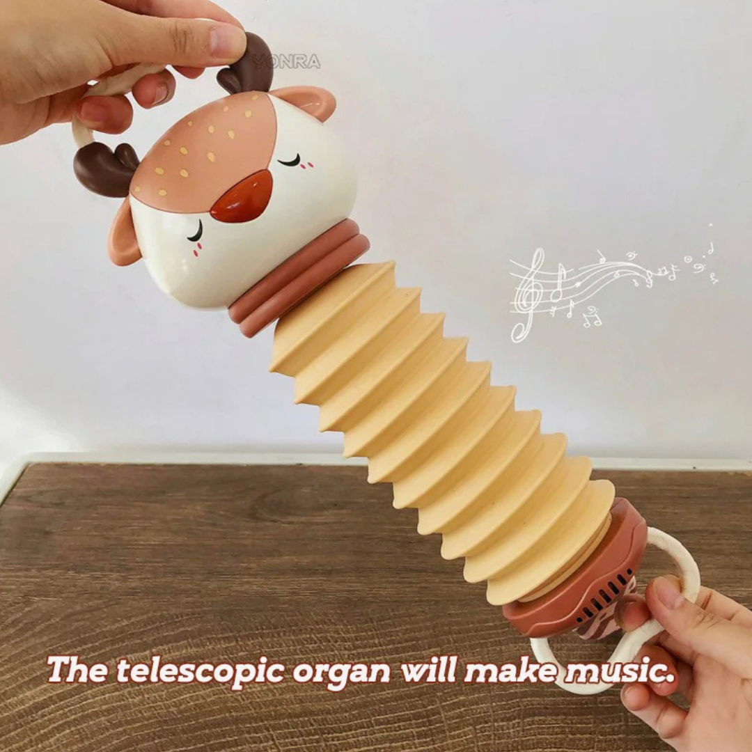 Animal Accordion