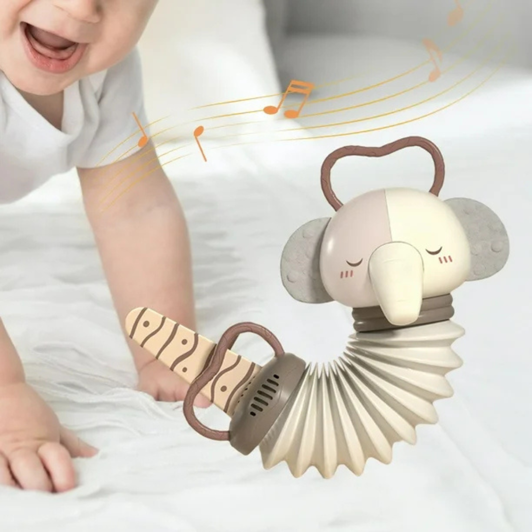 Animal Accordion