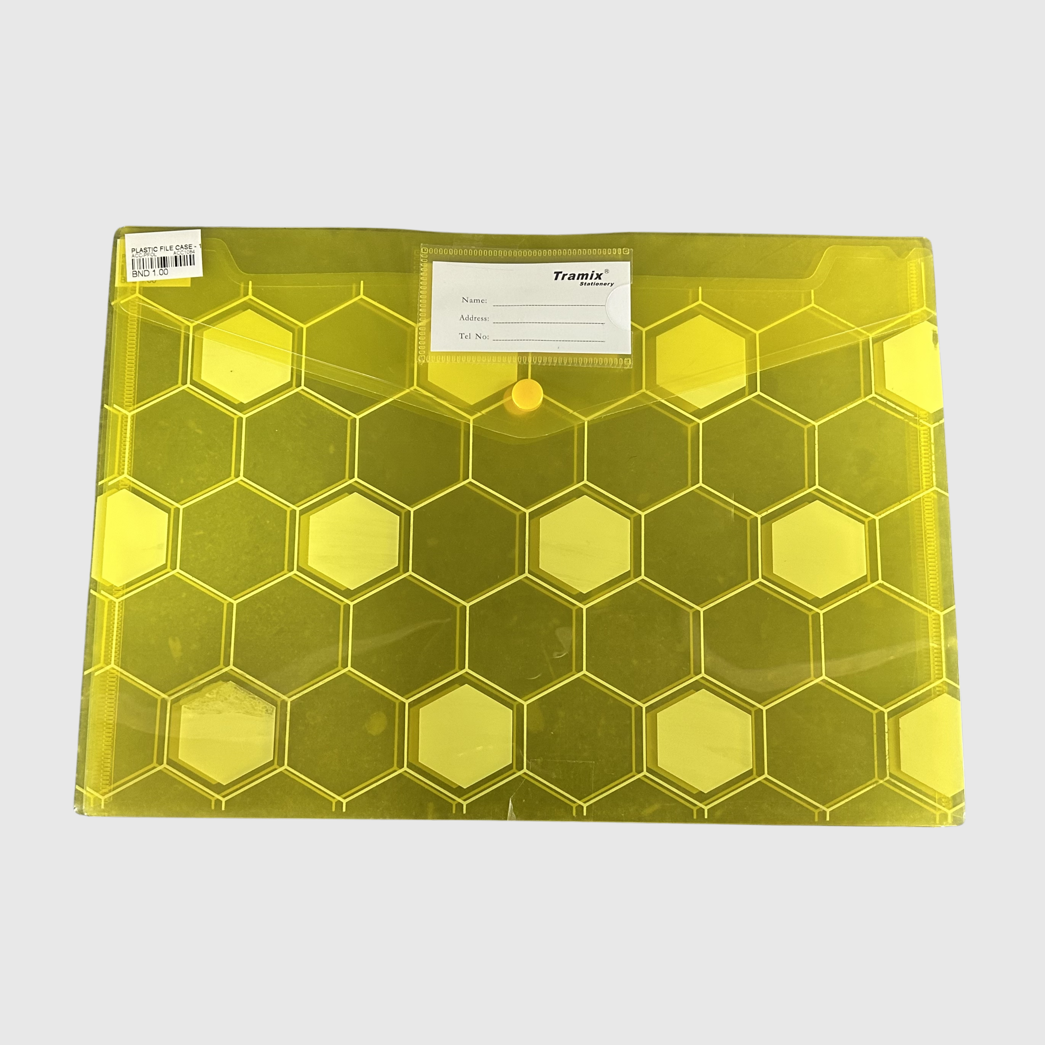 Plastice File Case