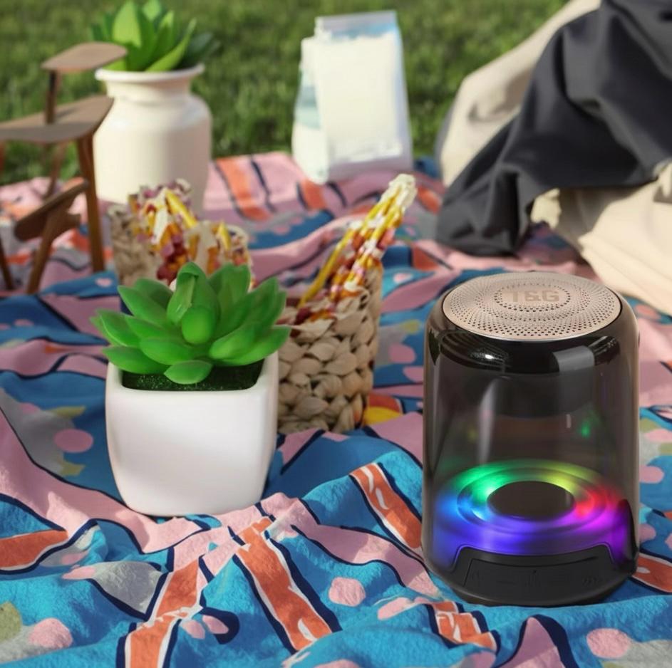 Portable LED Flashing Light Wireless Speaker TG314