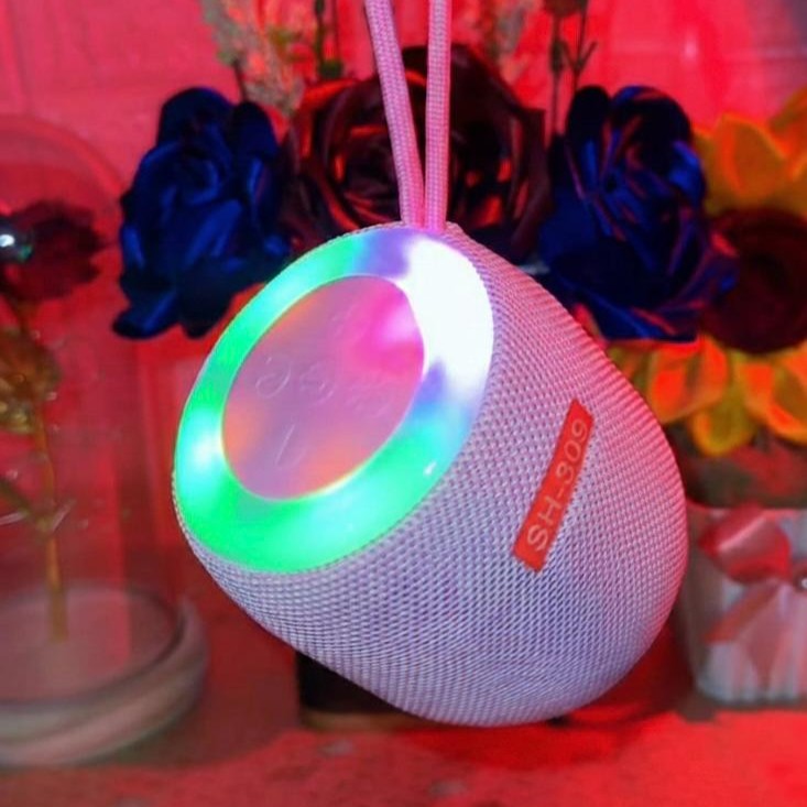 Portable Mini Speaker