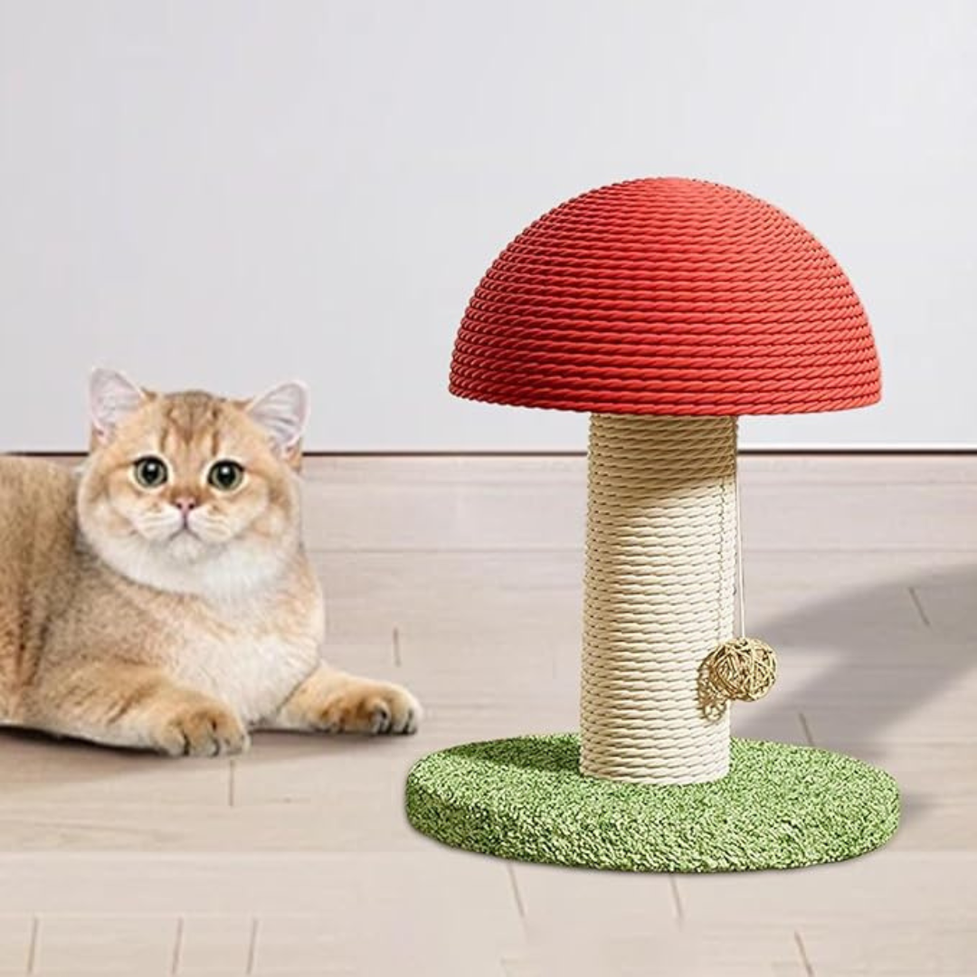 Rope Cat Scratching Board