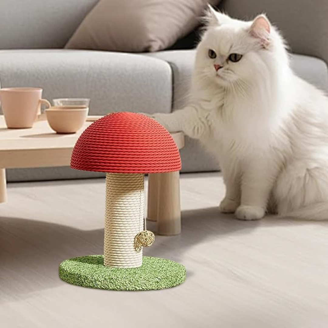Rope Cat Scratching Board